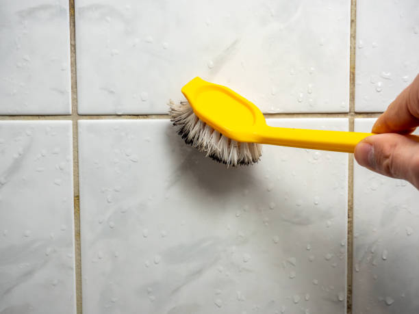 Best Commercial Mold Removal  in Britt, IA